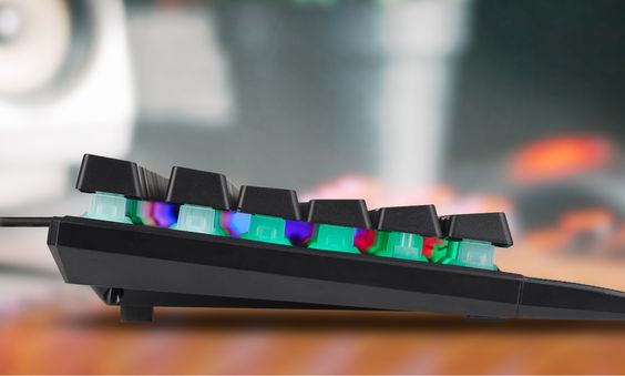 Prolink GMK-6001M Megaderma